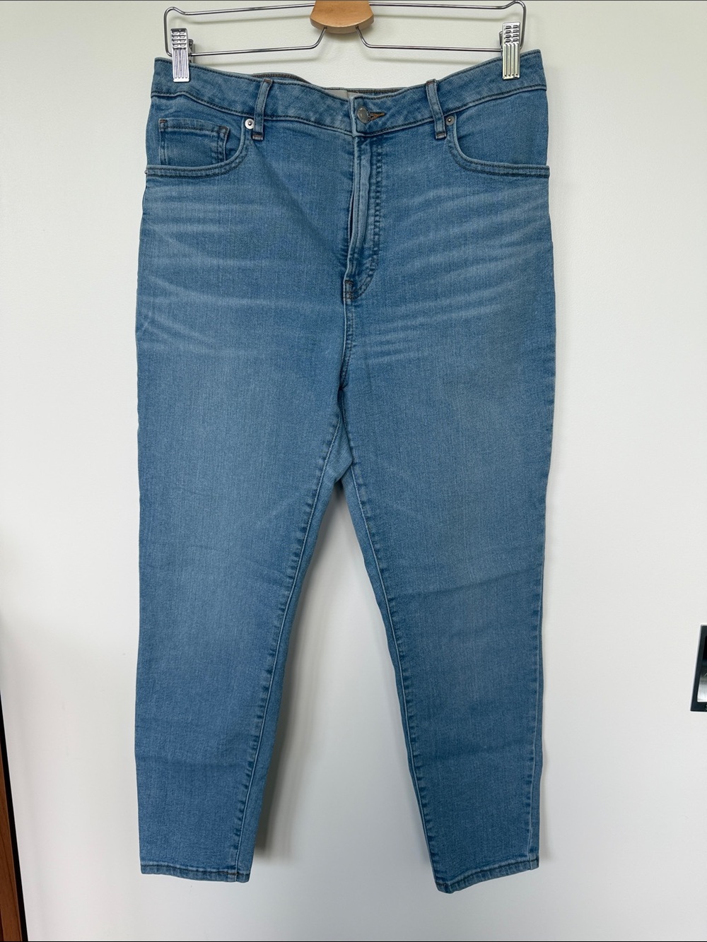 Everlane Curvy High rise Skinny Jean